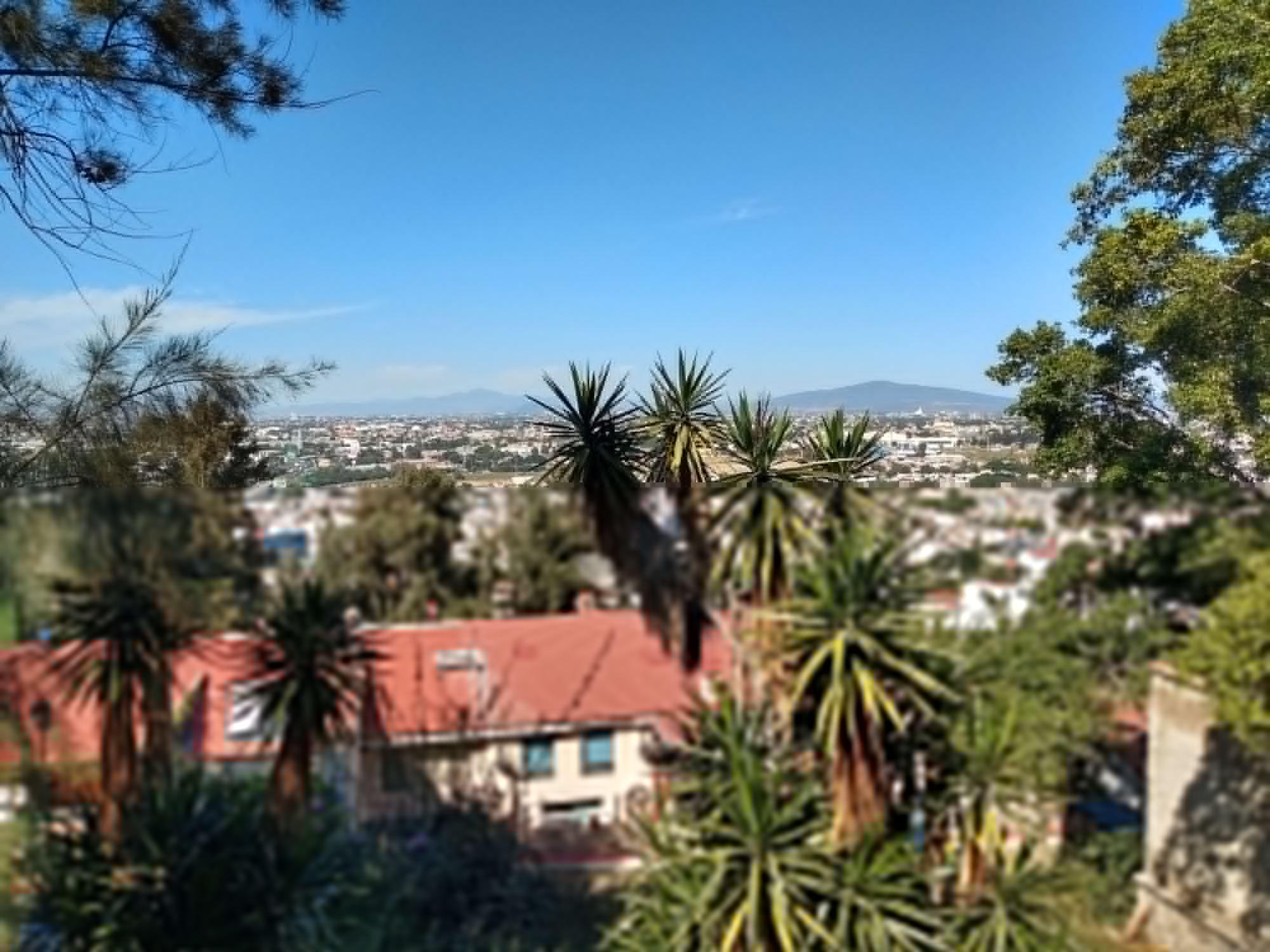 Radisson Hotel Tapatio Guadalajara Aeropuerto Tlaquepaque Dış mekan fotoğraf