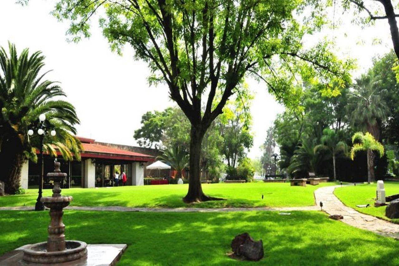 Radisson Hotel Tapatio Guadalajara Aeropuerto Tlaquepaque Dış mekan fotoğraf